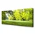 tulup.si Slika na platnu Grass nature park drevesa 120x60 cm