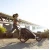 Thule priklolica/kolica Chariot Sport2 G3 N. Gold