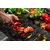shumee Steklena ploa rezalna ploa 52x40 Chilli