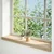 Prozorske klupice 2 kom 80x20x2 cm netretirane masivne hrast