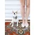 Decormat Vinil preproga Retro vzhodni slog 100x150 cm