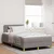 Vidaxl LED Box Spring Postelja z LED trakami Taupe 120 x 200 cm blago