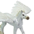 Safari Pegasus mladič
