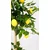 Limonino drevo Umetno citrusno drevo 150 cm