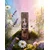 Sagrada Madre Linija parfumov Tao Radiance Incense