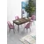 Hanah Home trpezarijski set Han, sto na razvlačenje i 4 stolice, ploča u dekoru drveta Baroque, roze tkanina Jerry
