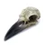 Dekoracija ALCHEMY GOTHIC - Omega Raven Skull - V67