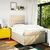 Vidaxl Box spring postelja z vzmetnico krem 120x200 cm blago
