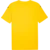 Puma Dres teamFINAL Graphic