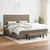 Vidaxl Box spring postelja z vzmetnico taupe 200x200 cm blago