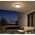 Rabalux 77224 - LED spoljašnje plafonsko svetlo HORT2 LED/14W/230V IP54 belo