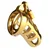 Mr. Steel Brutal Chastity Cage Gold Gold