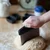 Dough cutter, stainless steel - MasterClass