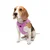 Paws & Whiskers Am za pse Air-Mesh, Lavanda