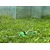 Garden Line OSCILIRAJOČI VRTNI PRŠILEC *4853