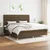 vidaXL Box spring postelja z vzmetnico temno rjav 200x200 cm blago