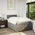 Vidaxl Box spring postelja z vzmetnico taupe 120x200 cm blago