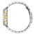 Citizen Quartz AN8214-55E