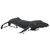 Safari Veleryba Humpback