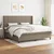 vidaXL Box spring postelja z vzmetnico taupe 200x200 cm blago, (20761130)