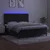 Krevet box spring s madracem LED crni 160x200 cm baršun