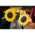 LEGO Botanicals Buket suncokreta 11502, Uzrast 18+
