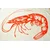 Kuhinjska krpa Shrimp 45x70cm