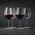 Kozarec za burgundy HI-LITE 734 ml, set 4 kosov, Spiegelau