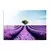 Wallity Slika UV-107, 70 x 100 cm