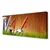 tulup.si Slika na platnu Grass nature orodja 120x60 cm