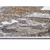 Siva/rjava preproga 57x90 cm Shine Floral – Hanse Home