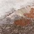 Preproga 160x230 cm Mirage Blur Terra – Asiatic Carpets