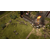 Citadels