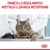 Royal Canin Urinary Care - 2 kg