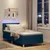 Vidaxl LED Box Spring Postelja z blazino Modra 80 x 200 cm blago