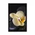 Plakat Zen kamni z rumeno orhidejo - 40x60 silver