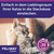 Feliway Classic - 30-dnevno polnilo, 48 ml