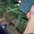 Spacecase SILIKONSKI OVITEK SPACECASE ZA HUAWEI P20 LITE TEMNO ZELEN, (21963016)
