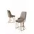 HANAH HOME Set stolica (6 delova) Puva Cappuccino Gold