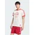 ADIDAS ORIGINALS Majica Coca Cola Classic rdeča/bela