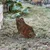 Aberto Design Dekorativna figura Frog -A 01, 34x22 cm, 1.5 mm