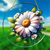 Hvatač sunca - Daisies / Tip2 KP31562