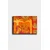 Wallity slika 56368546, 50x70 cm