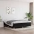 Shumee Box spring posteljni okvir črn 160x200 cm blago, (20600914)