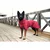 RUKKA PETS Topla oblačila za pse Windy rdeča 25