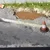Puddles - 60ml