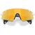 Oakley Stunt Devil A Naočare za sunce OO 9525 08