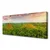 tulup.si Slika na platnu Jungle forest narava 120x60 cm