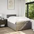 Vidaxl Box spring postelja z vzmetnico taupe 120x190 cm blago