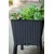 Keter Saksija za mini baštu Easy grow, 120l, Antracit